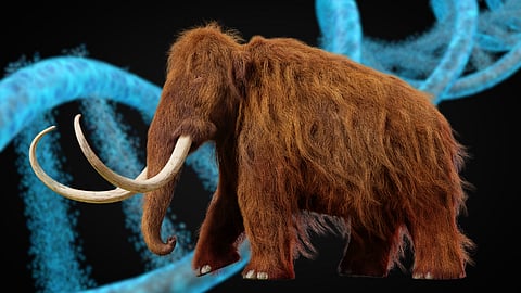 Better ways to spend $10bn than reviving the woolly mammoth: F.D. Flam