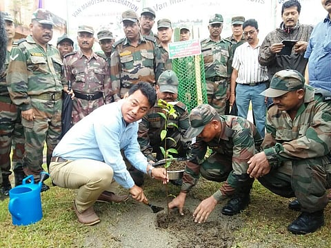 ककराझार आव Van Mahotsav फालिदों