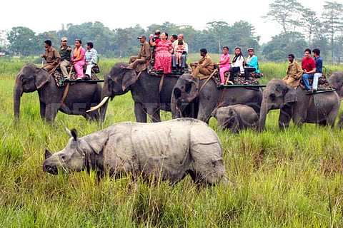 दावबायारिफोरनि थाखाय काजिरंगा माहारियारि हाग्रामाखौ बेखेवफिनबाय