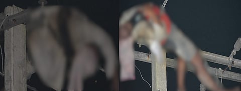 दिवालि पुजानि मुंआव क’कराझाराव सानै सुबुंनि जिउ खहा