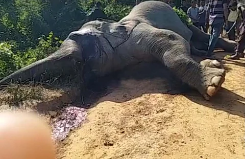 कार्बि आंलं जिल्लायाव मैहुरारिआ मैदेर हाथायनि थाखाय मैदेरखौ बोथारदों