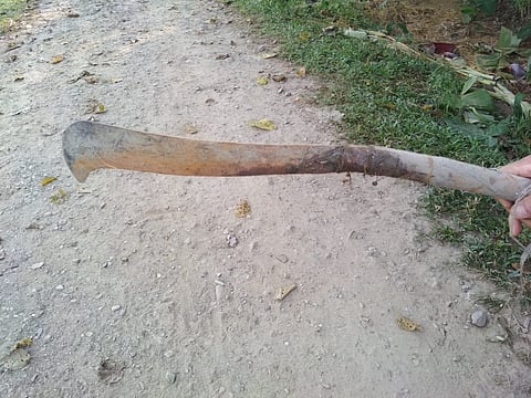 आदिवासि आयजो सुमि टुदुखौ सिखाजों दानथारदों