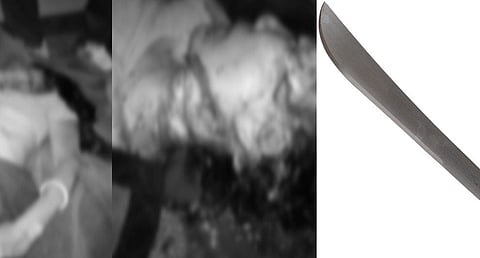 सनितपुर जिल्लायाव फिसाइआ बिसिखौ सिखाजों दानथारदों