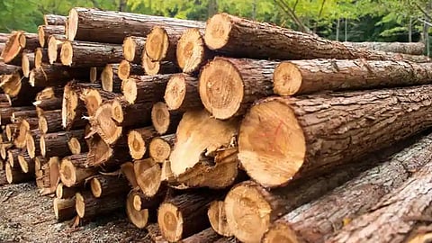 धेकियाजुलिआव आयेन बेरेखायै दंफांनि मिल फसंनायखौ बोखांदों