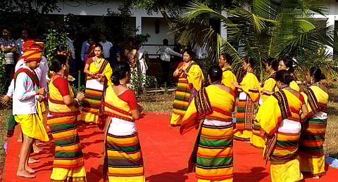 दिमा हासाव जिल्लायाव बुसु फोर्बोखौ गाजा गोमजायै खुंफुंबाय