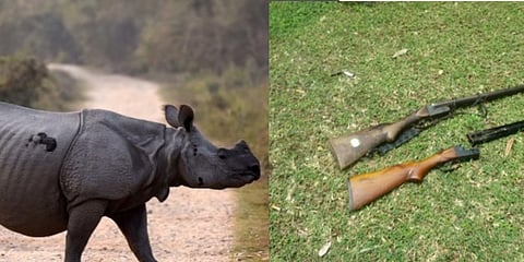 काजिरंगा हाग्रामायाव फरेस्ट गार्ड आरो मैहुरारिफोरनि गेजेराव गुलिजों मोगा मोगि