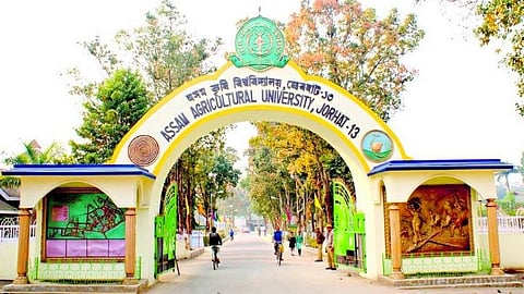 आसाम आबादारि मुलुगसोलोंसालिनि बान्जायनायाव साहा लक्षिमपुरआव सेरिकालसार दिन्थिफुंसालि खुंफुंदों