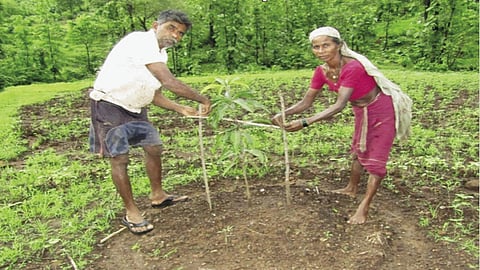 ABF’s flagship Rural Livelihoods Support Programme works in villages