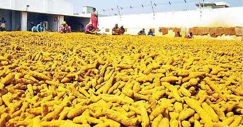 Turmeric has become a source of heartburn for Indian farmers and Lankan consumers