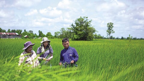 The Better Life Farming initiative has led to a doubling of crop yields and a tripling of farm incomes