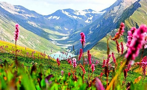 Will peace bloom in the valley?