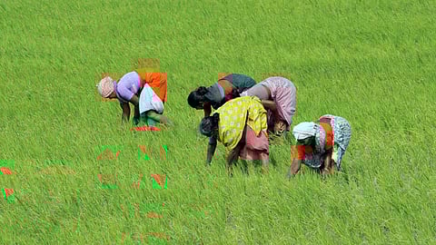 India is now an undisputed global agriculture production powerhouse