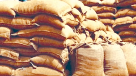 The government’s blanket ban is expected to shrink India’s rice exports