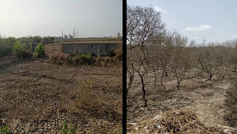 Here today, gone tomorrow