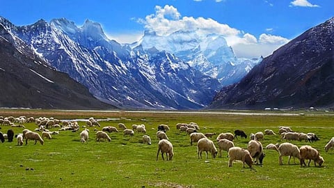 Ladakh residents are demanding constitutional safeguards