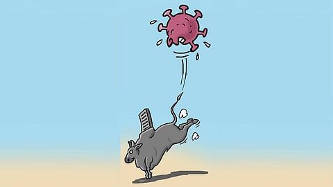 Illustration: Panju Ganguli