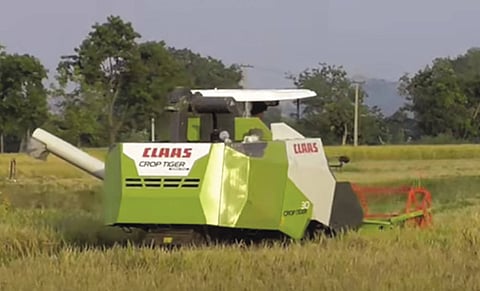 A CLAAS Crop Tiger at work