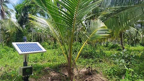 Climate smart agriculture