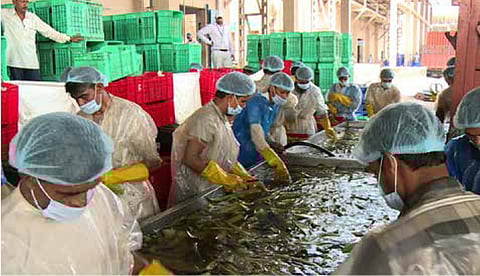 Food parks: still in implementation mode