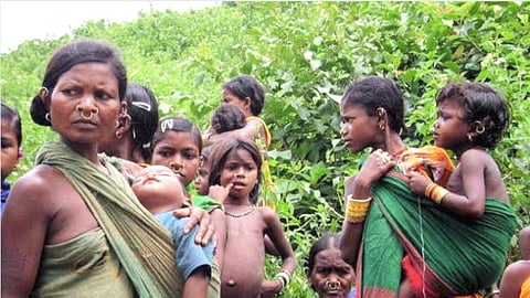 Are the rights of forest dwellers and tribals thrown to the wind?