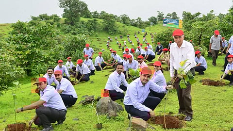 The Mahindra Group started planting a million trees annually from its 60th anniversary