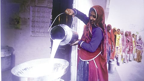 Production by the masses: small farmers are the driving force of the dairy sector in India