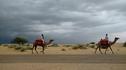 Dry lands cover about 41 per cent of the earth’s surface.
