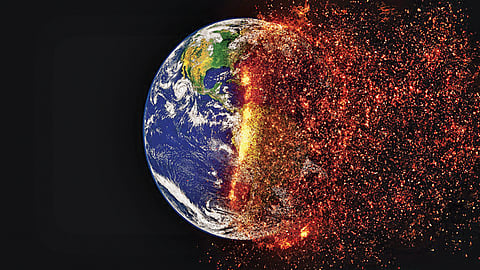 To combat climate change each one of us needs to chip in their share
