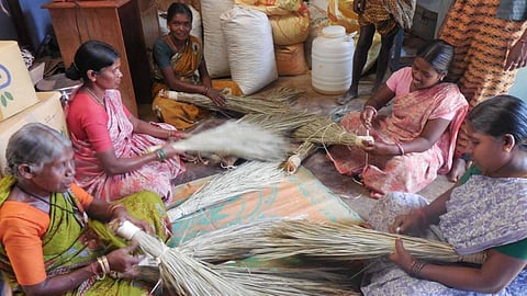 Aadhimalai Pazhangudiyinar Producer Company: the 1,700-shareholder co-operative