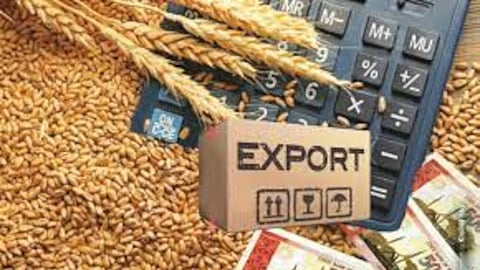 Should the government import wheat for replenishing public stocks?