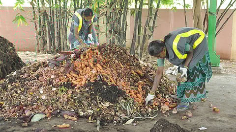 The organic garbage becomes compost to grow vegetables