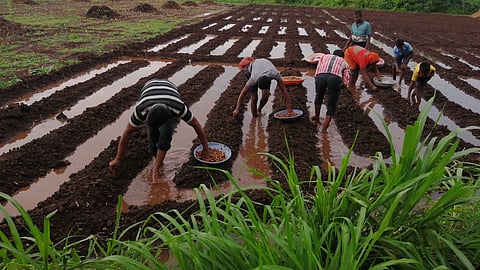 ICICI Foundation’s crop substitution initiative in Karnataka