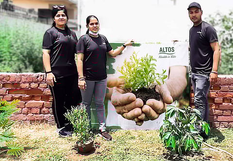 Altos employees working to fight pollution by greening the area