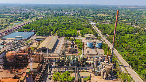 Green belt around the company's plant