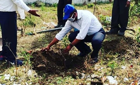 More than 1,000 saplings have been planted around the Mittal Appliances facilities