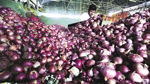 Onions containing high moisture are prone to quality deterioration from heat shock