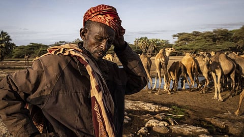 Drought in Kenya can cause food insecurity and displace millions of people