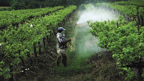 Will the bill safeguard the farmers’ interests?