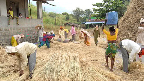 It is the toiling work of millions of farmers that transformed India from a food deficit country to a food surplus nation