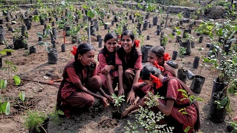 These schoolgirls will look after the trees they plant till the forest becomes self-sustainable
