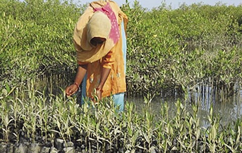 TCSRD’s Climate Neutral Village Project: positive impact on land and water management