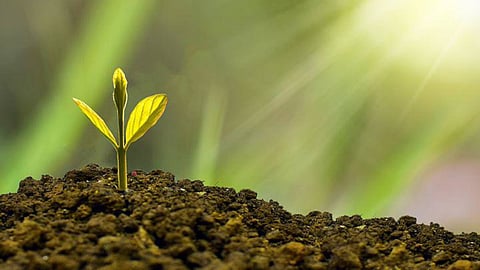 Climate startups need to be nurtured to save our planet