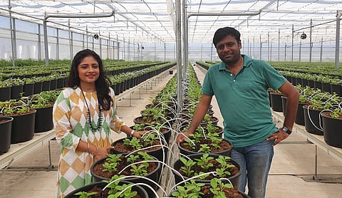 Shweta and Darbarwar: a momentous occasion