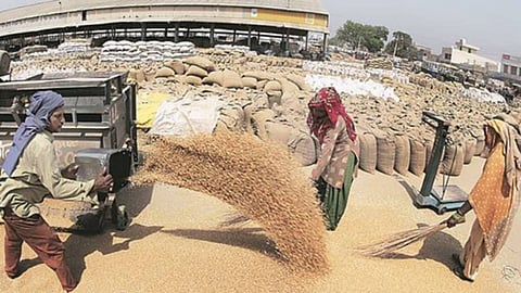 A higher overseas demand for Indian wheat and a persisting heat wave had become a cause of worry for the Modi government