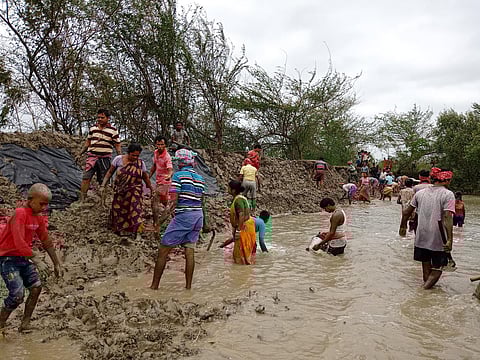 Villagers rebuild mud embankments at the Sundarbans