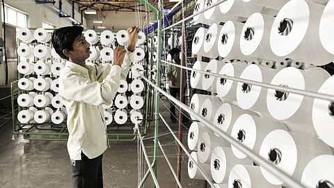Our lopsided policy interventions in favour of cotton have not allowed market forces to play their true role; Photo: Sanjay Borade