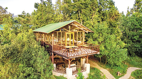 The elevated cottages at Kanha Jungle Camp are popular with guests