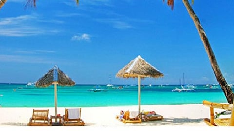 Growing at top speed