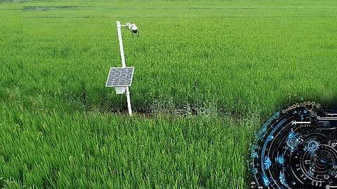 From innovation to inclusion