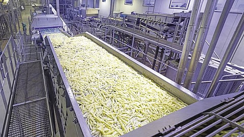 HyFun exports over 70 per cent of its production to more than 40 countries